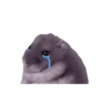 Hamster triste 🐹🐭 9