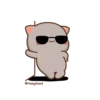 Cutie cat 7
