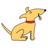 Dogs Cutes.Movi🐶 11