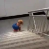 🔥 TIKTOK RAMDON 8.📱 13