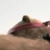 Tekken 8(Video juego)💞1🇵🇪Movi 11