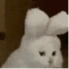 इसे नाचो और जाओ 15