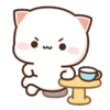 MOCHIS🐈CAT Especial II MOV 14