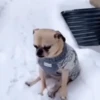 How cold! 8