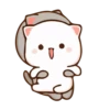 Peach Goma Cats 15