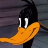 🦆 PATO LUCAS 😂 7