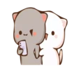 Moshi peach cat 17