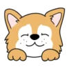Dogs Cutes.Movi🐶 16