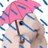 Дождь 27