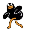 Black Duck 11