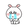 Hiper Rabbit 73👩🏻‍🎨Mov.1712 16