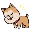 Dogs Cutes.Movi🐶 19