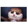 Hamster triste 🐹🐭 12