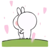 Rabbit-2 @Stickersnew 14