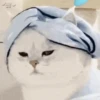 🧿Michis Ale🐱🐈 14