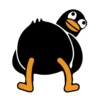 Black Duck 14