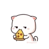 Cutie cat 19