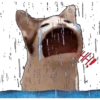 🚫•SAD 😭😢😥 7