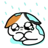 Дождь 25