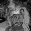 Pretty Kittens🐈1🇲🇽Movi 18