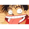 luffy 15