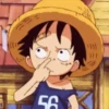luffy 16