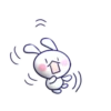 mini rabbit mov 10