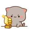 MOCHIS🐈CAT Especial II MOV 17