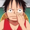 luffy 18