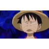 luffy 19