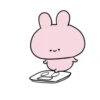 Cute Bunny’s Set #3 23