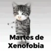 Martes de Xenofobia