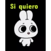 Conejita amorosa💞1🇵🇪Movi 23