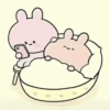 Cute Bunny’s Set #1 23