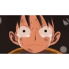 luffy 23