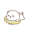 Cutie cat 23