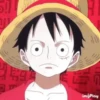 luffy 25