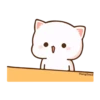 Cutie cat 24