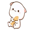 Moshi peach cat 23