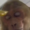 🎵 TIKTOKeando 19🎵 23