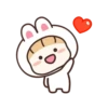rabbit⭕ mov 23