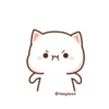 Cutie cat 28