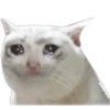 🚫•SAD 😭😢😥 16