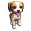 Dogs Cutes.Movi🐶 26