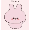 Cute Bunny’s Set #3 30