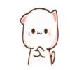 Moshi peach cat 27
