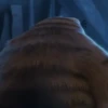 Garfield Movie 😸📽2024 💖MOV 25