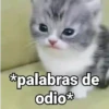 🤎Gatitos con Frases ⓷🐈‍⬛😼 18