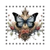 Mariposas🦋4🇨🇷Movi 5