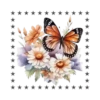 Mariposas🦋4🇨🇷Movi 7